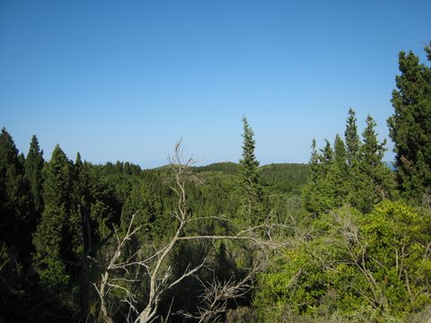 IMG_0157.JPG