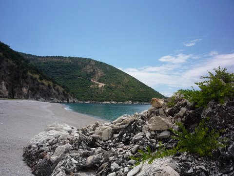 P1010423-1.JPG