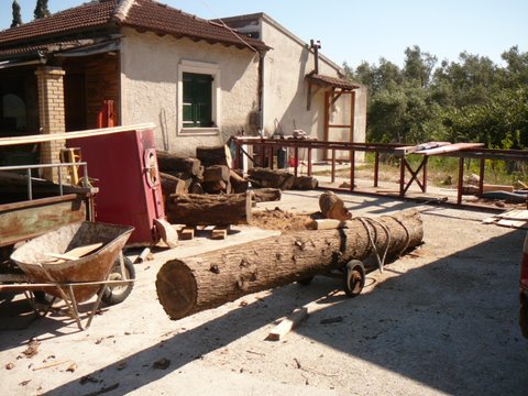 P1030317.JPG