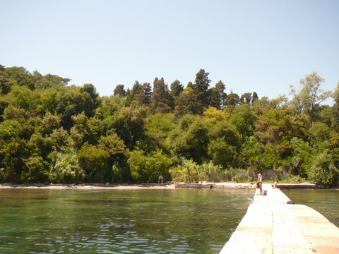 P1030331.JPG