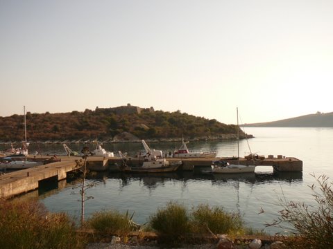 P1030407.JPG